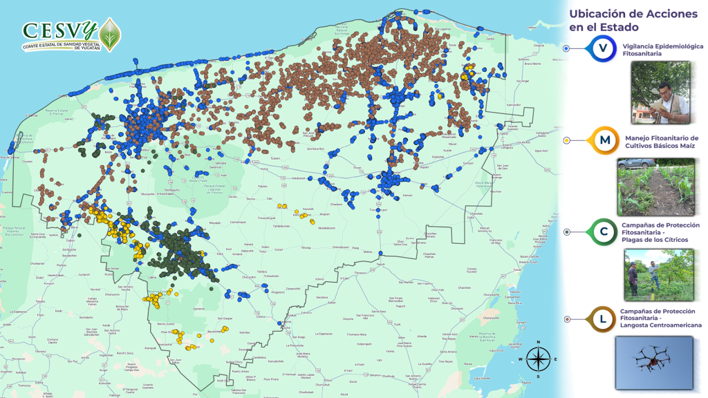 Mapa de campañas en el Estado.